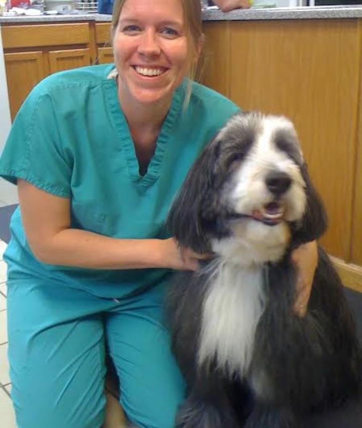 Experienced Veterinarians Animal Hospital in Marietta